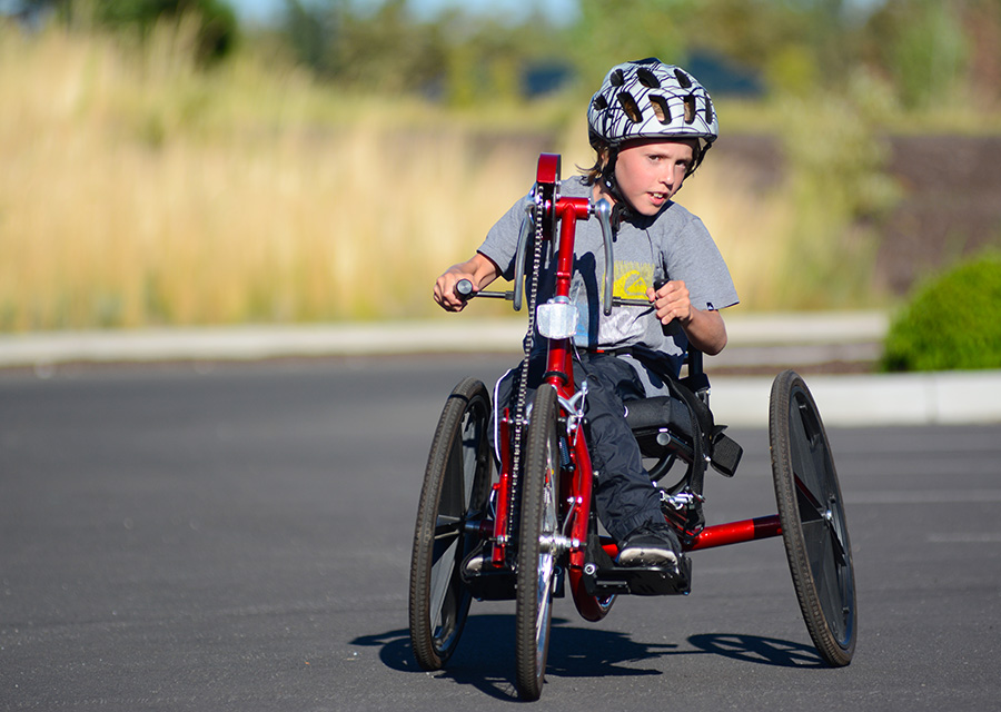 Recumbent bike for online disabled