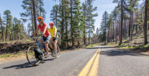 duo on tandem bike cycling along paved road through ponderosa forest