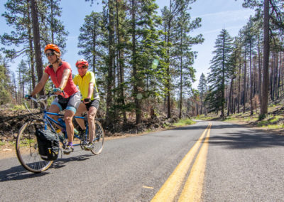 duo on tandem bike cycling along paved road through ponderosa forest