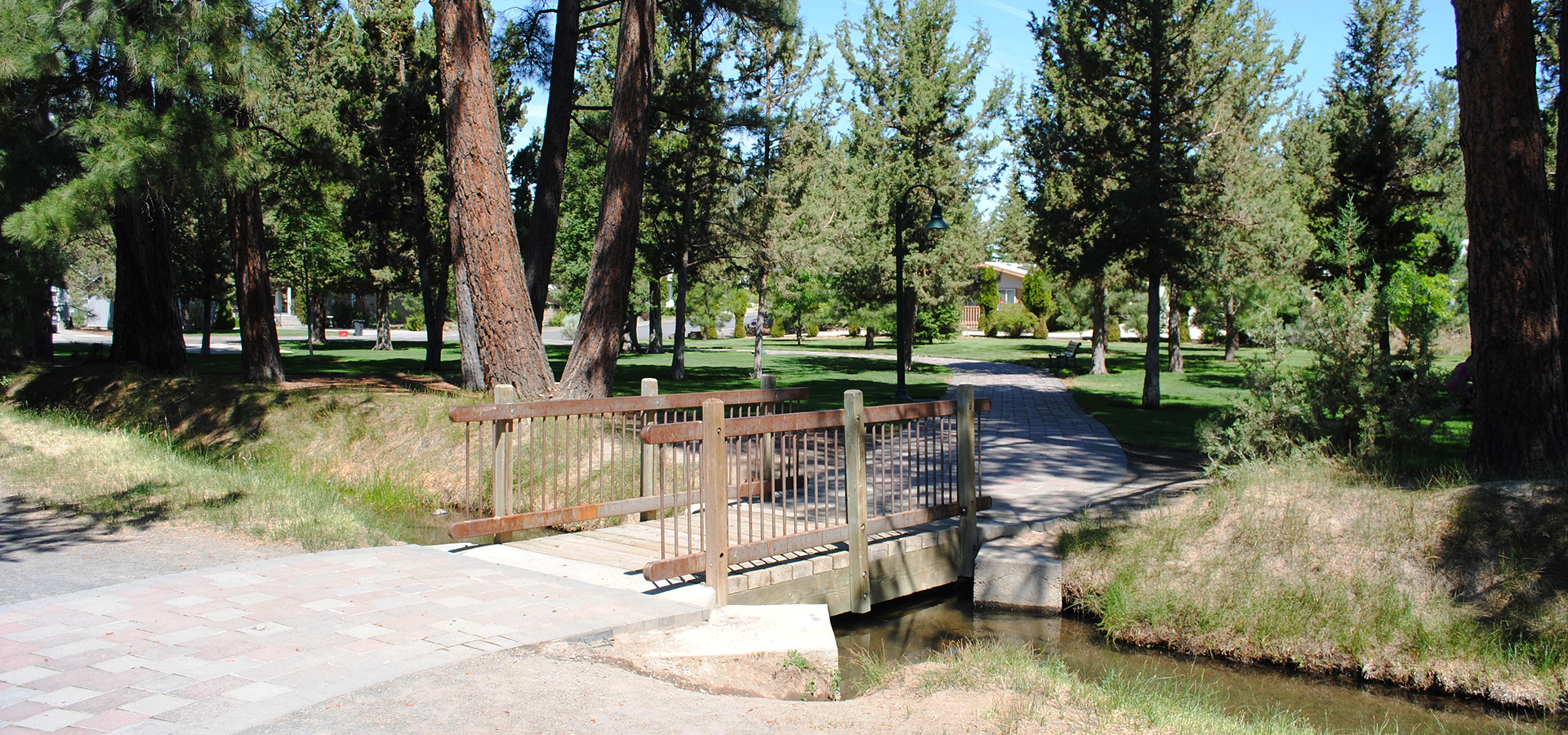 bridge across creek to paved path surrounded by ponderosas and green grass