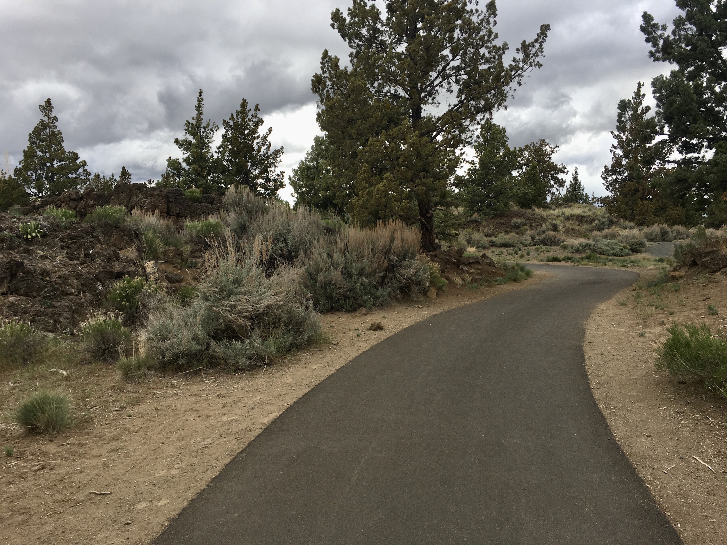 paved path at rockridge park
