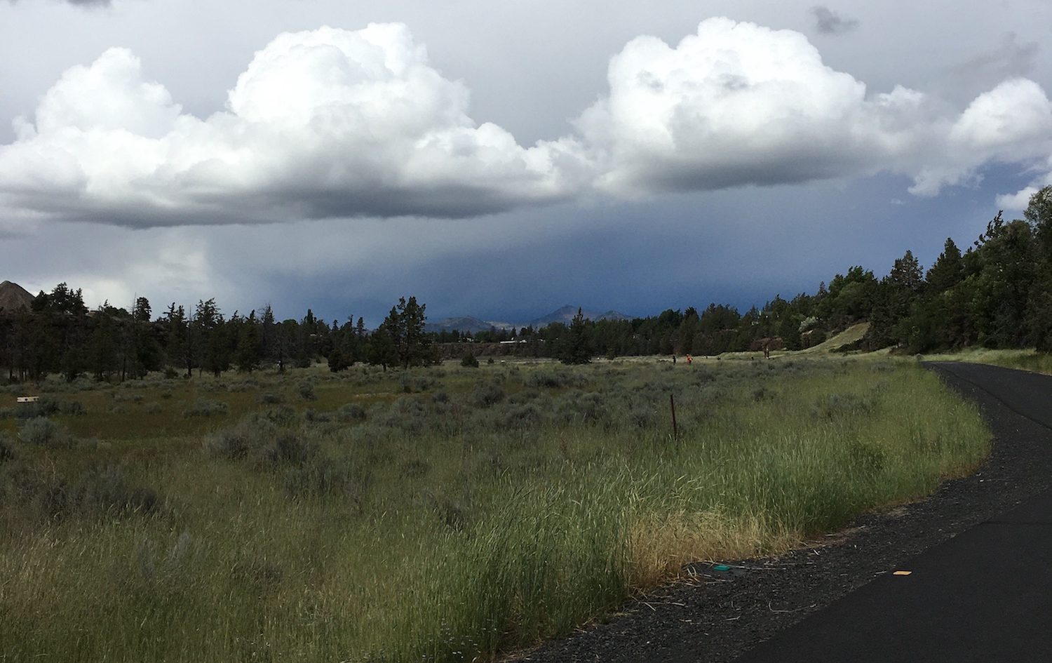 paved path through pretty meadow