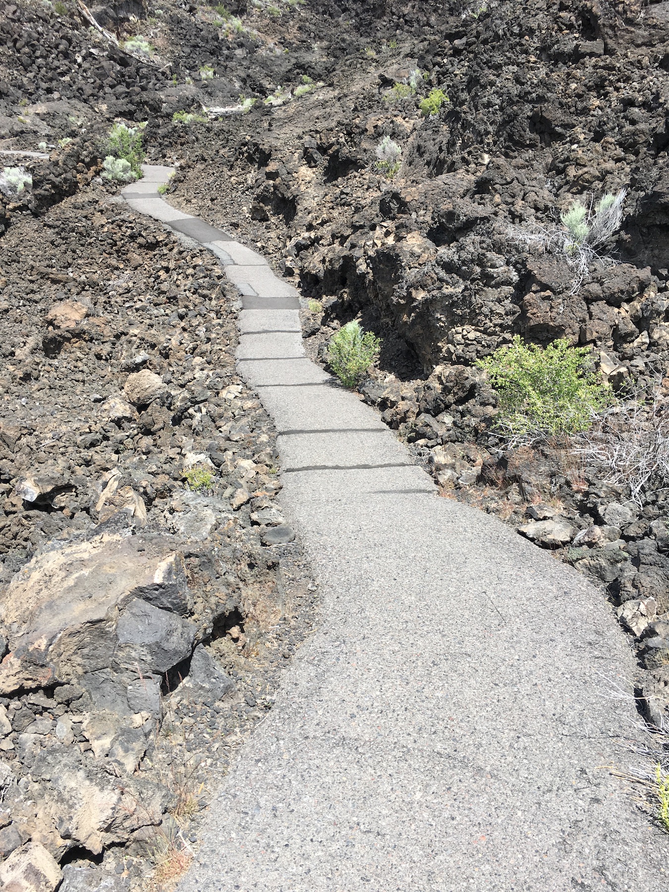 broken pavement path with lots of bumps