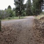 two trails merge and are gravel and pinecone