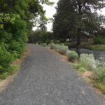 loose gravel path along canal trail