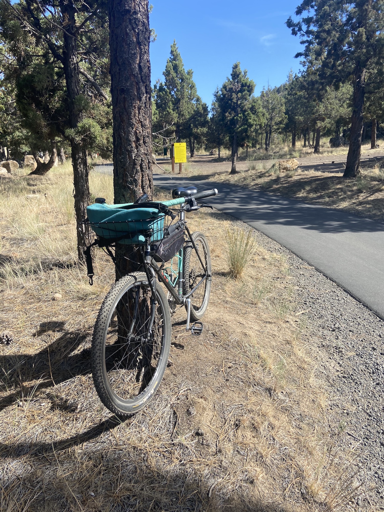 bike against tree next to larkspur trail