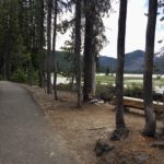 paved trail with wood bench on side