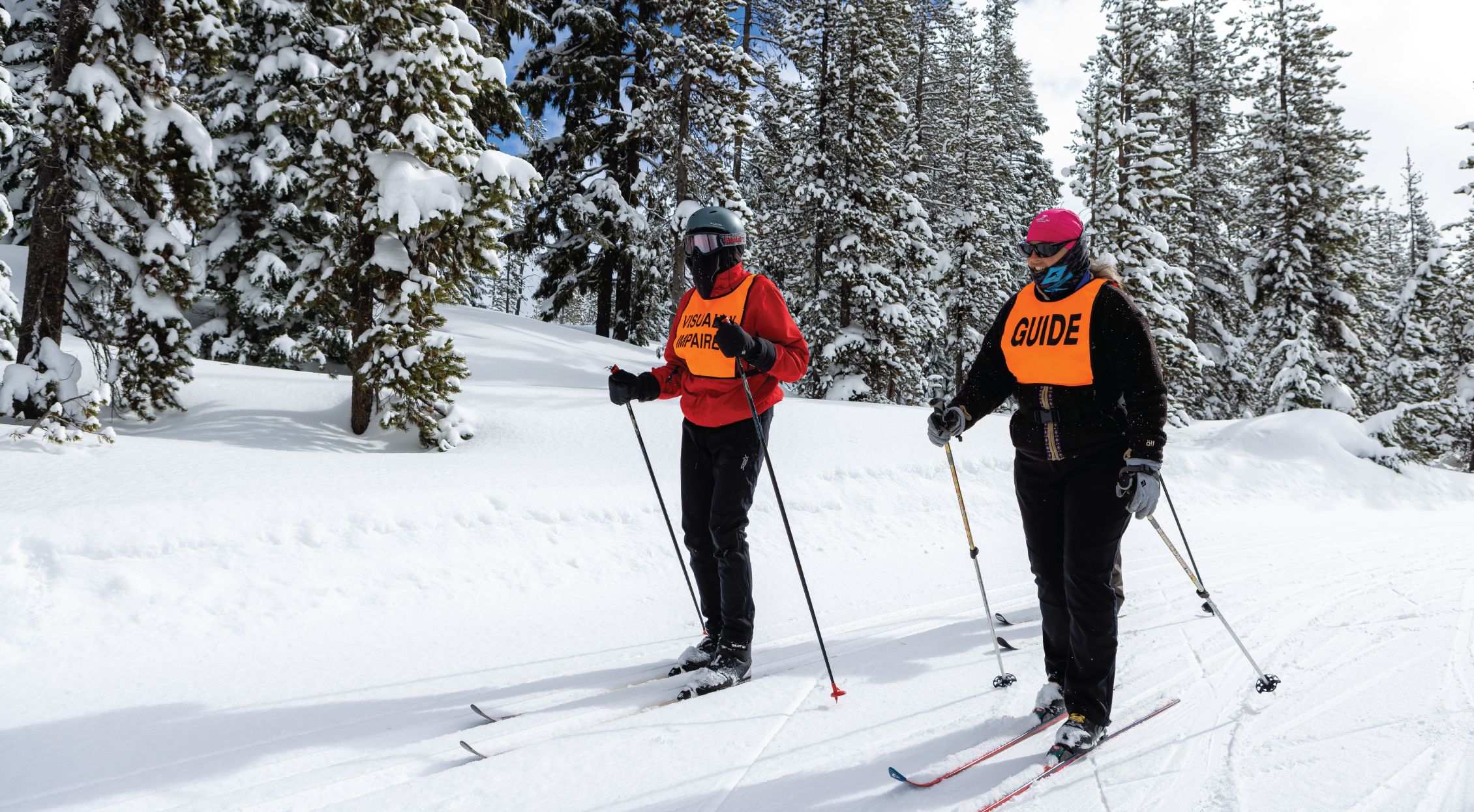 Nordic skiing, one guide along with a visually impaired skier going past some tall pine trees on snow.