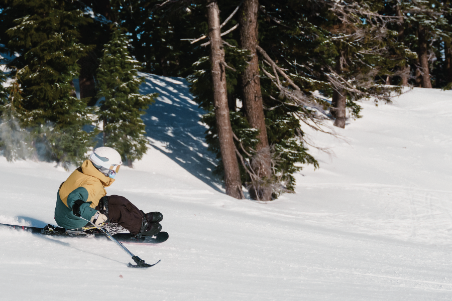 mono-skier in a yellow/teal jacket and white helmet going downhill along the treeline