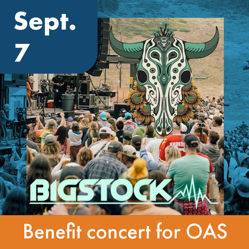 Sept. 7, BigStock, Benefit concert for OAS. Image of large concert