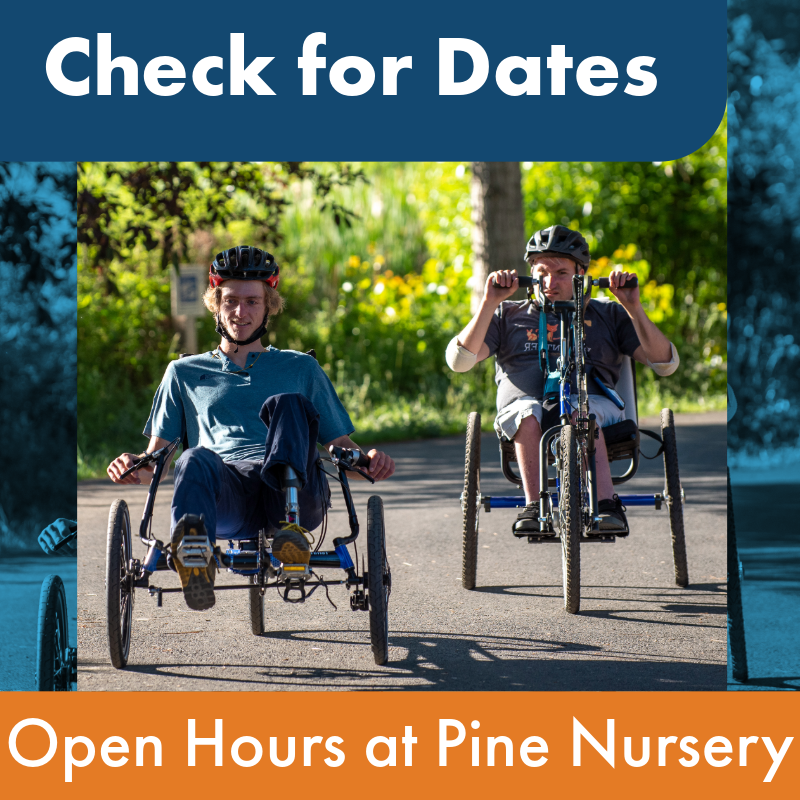 Check for dates, open hours at Pine Nursery