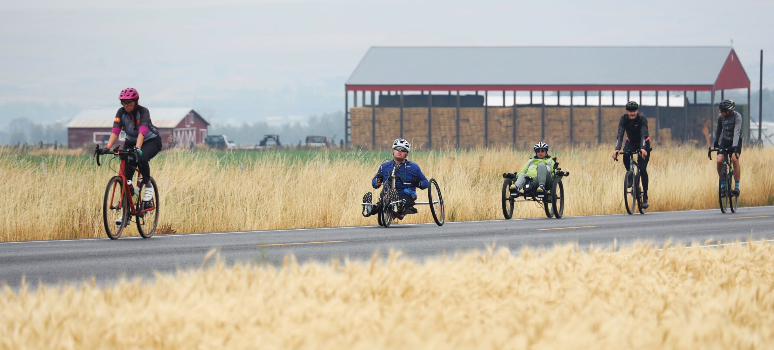 An OAS staff member leads the line with a handcyclist and recumbent cyclist trailing behind, two volunteers behind them. Tall yellow grass frames the road and in the distance a hay barn is visible.