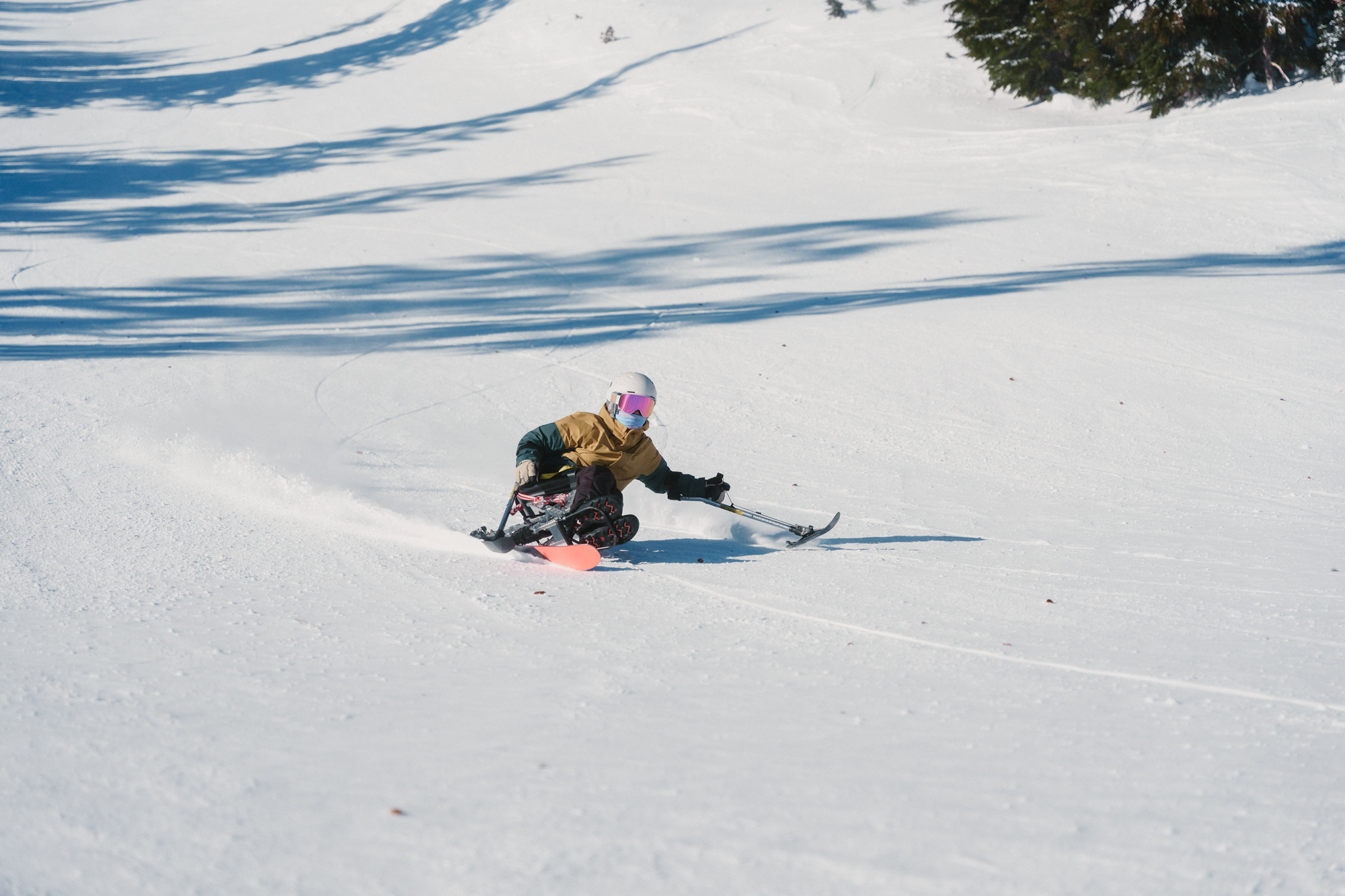 sit skier shreds down the slope