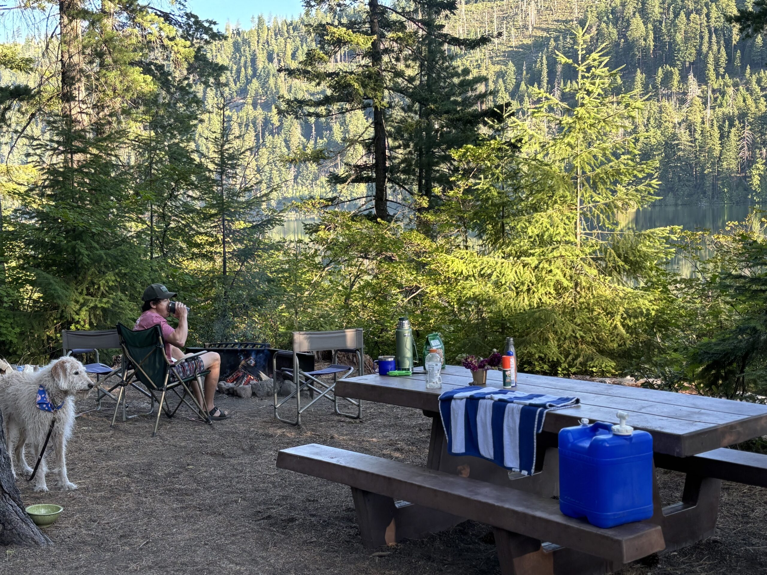 Dave sits on a camp chair, with a curly haired dog behind him and a picnic table with camping supplies to his right.